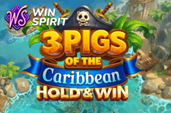 3 pigs of the caribbean